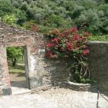 Vorschaubild Casa dei Limoni - hotel